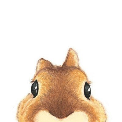 aybi_ge's profile picture. 