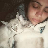 ๐บ Invernalia ๐บ (@laurii_acnh) 's Twitter Profile