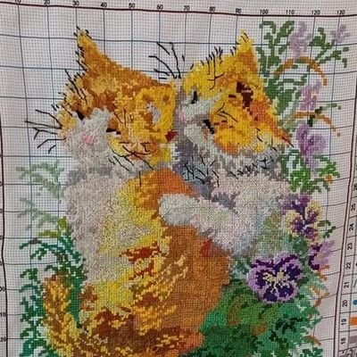like writing stories, watching Movies, a big star trek fan, like Scott Bakula and all his work, love watching all his shows. I love embroidery.