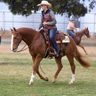 Specializing in Thoroughbreds, Simmental beef cattle & pretty performance horses.