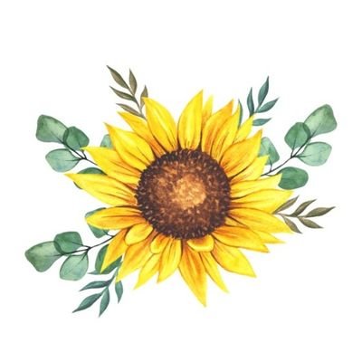 Want Some Amazing Sunflower Products 😍 | Here's Our Store Link 👉 https://t.co/Sujri9FQTO