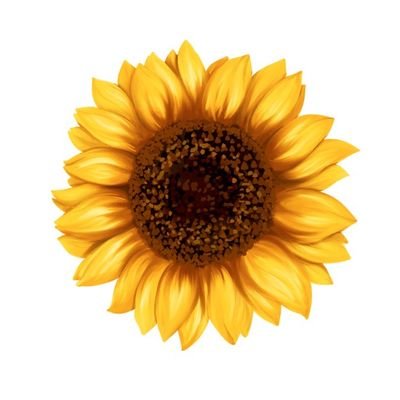 Sunflower0tw Profile Picture