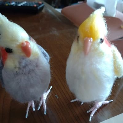 セキセイインコのピーちゃん３歳を飼ってますがオカメインコにハマってます。多頭飼いが夢なので羊毛フェルトで実現しています。阪神タイガースを応援❣️ミニチュア＆ジオラマ大好き❤ピーちゃんが主ですが時々他の物もポスト、リポストします。