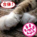 猫が好き。猫写真見て癒されとります。最近ツイ少なめ。自然が好き。国境無き猫もふ団。猫合体党No.590。もふもふRT党党員(new)。実は犬も好き(^^ゞ クルマ・バイク・電車も好き。横浜在住。