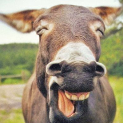 Blisterphish's profile picture. pffft.