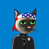 ColliberNFT (@collibernft) 's Twitter Profile