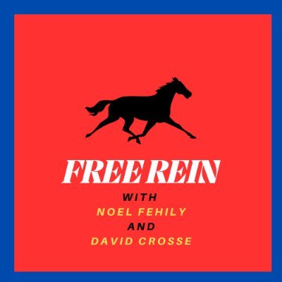 A new podcast in which former jockeys and current syndicate owners Noel Fehily and David Crosse take deep dives into various horse racing topics