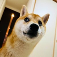 cheeky (@cheeky0822) 's Twitter Profile