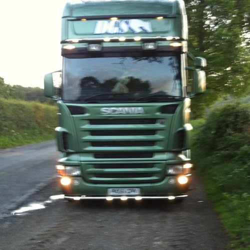 DGSbloodstock's profile picture. 