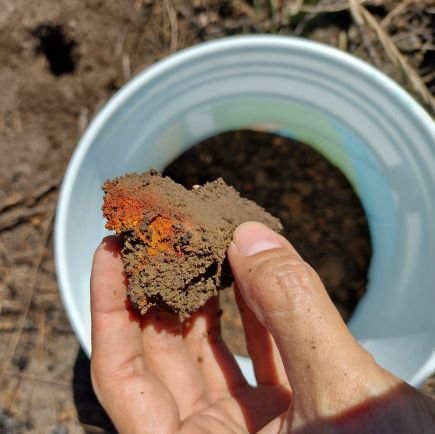 Ingeniero Agroforestal y especialista en ciencias agropecuaria. M. C de producción agropecuaria .