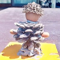 松ドングリ (@pineworkshop_jp) 's Twitter Profile