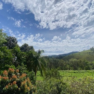 nooonameed's profile picture. 