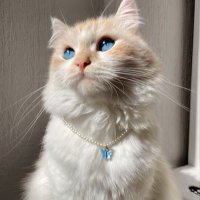 . (@jo1010j) 's Twitter Profile