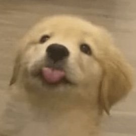pimさんのプロフィール画像