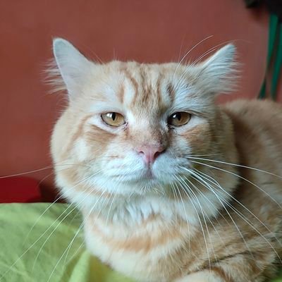 Sikirana_'s profile picture. 