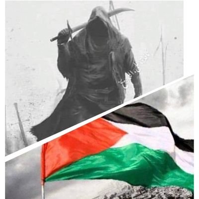 AboHamza505 Profile Picture
