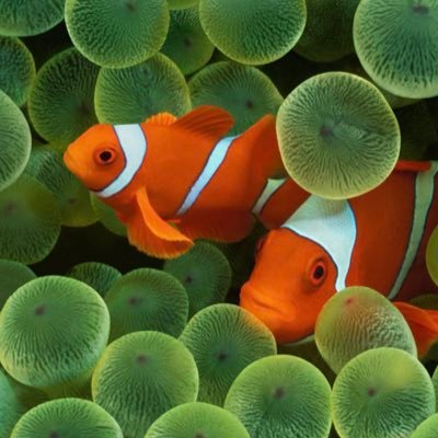 micah_brandon23's profile picture. 