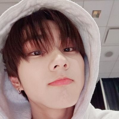 jungwonbeanie's profile picture. engene | midzy | fan account