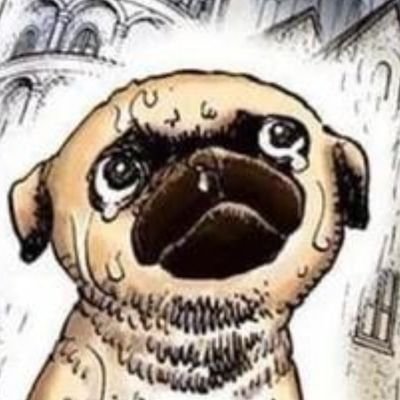 TheClassicPug