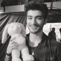 caris ❦ (@z4ynsinterlude) 's Twitter Profile
