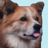 Hachi Reborn (革新) (@rebornhachi) 's Twitter Profile