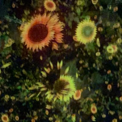 miyumiyu72323's profile picture. 不妊治療 | 84年生 | 実費一択 | 免疫異常(TH1TH2比20 ﾀｸﾛﾘﾑｽ服用)| PCOS | 橋本病 | AMH0.8 | ﾗｸﾄﾊﾞﾁﾙｽ0/ﾋﾞﾀﾐﾝD＆亜鉛不足 | 治療歴▶︎採卵①〜⑥→移植12回陰性 ▶︎2025不妊治療卒業🫶 | 応援ありがとう♡