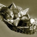 Beatriz Vara - @Bea_ankh - Twitter