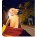 Vincent (@viidofnir) Twitter profile photo Vincent (@viidofnir) Twitter profile photo