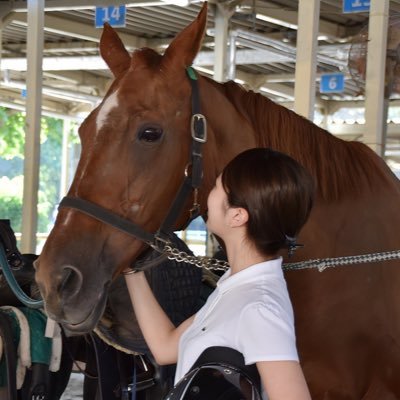 SFC解脱、馬(競馬・乗馬・一口)、旅行、観劇(備忘録)あとセンマイ刺しとシュークリームが好き🫶🏻