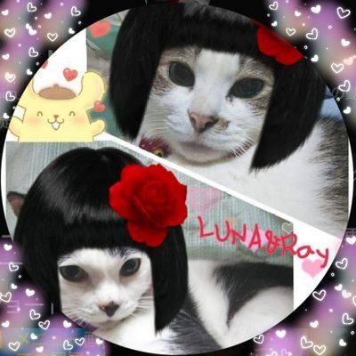 himchan730's profile picture. instagram(him_chan730)→飼い猫メインUP
Love→📽タクミくんシリーズ､タイドラマ:Love By chance＊2moons2､牙狼シリーズetc…
game→DBD･APEXメイン(YouTubeで不定期配信中🕹)
🌟ブウギャバンファミリー