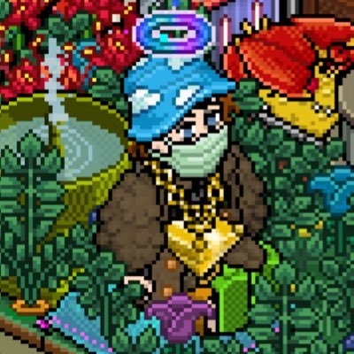 Habbo 2020 - Fan of pixel art and games, collecting and trading
