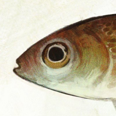 monlopolo's profile picture. drawer
