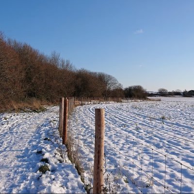 ArchieCockett's profile picture. 