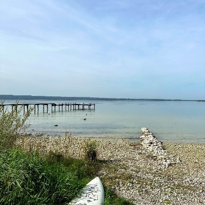 NCube86's profile picture. Head of Club Media & Content @ FC Bayern 🔴⚪️