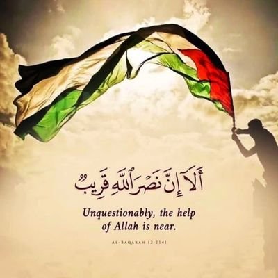 AlQaQa_77's profile picture. 