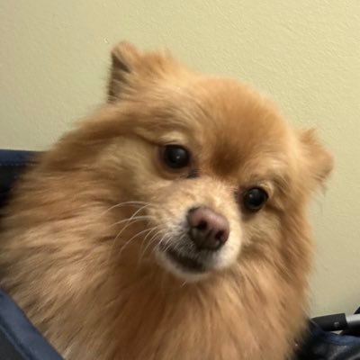 aizerlj's profile picture. 