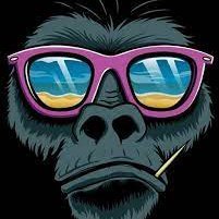 #NFT monkey style