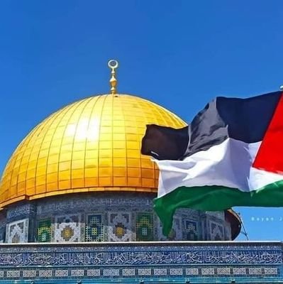 Hasa99410407Amr's profile picture. رب اغفر لي ولوالدي وللمؤمنين والمؤمنات