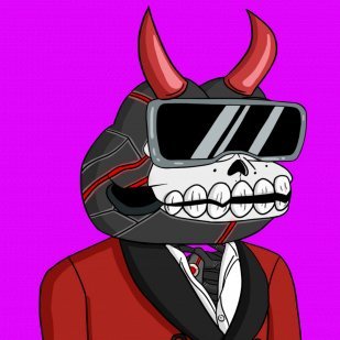 DannyCryptoKing's profile picture. airdrop king