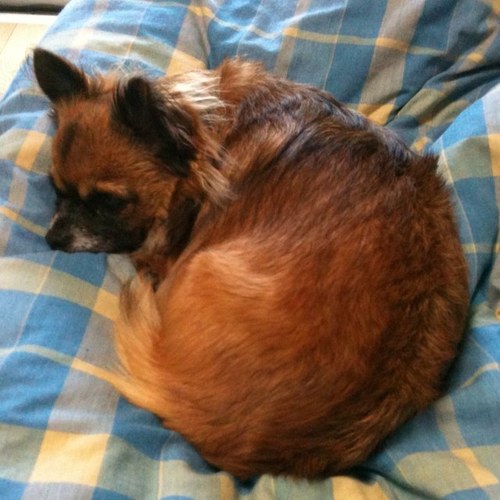 toc_itoo's profile picture. 芸能マネージャー、ライブ運営、イベント制作、ジャケット写真デザイン、プロモーション動画撮影、グッズ製作etc、、、フリーランス？ノマドワーカー？個人事業主？その日暮らし？