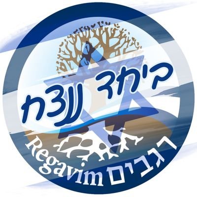 תנועת רגבים Profile