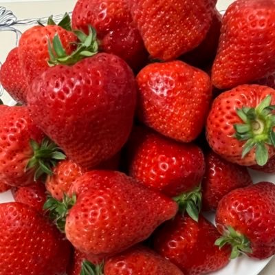 高配当、優待、スイング、大量ナンピン🍓