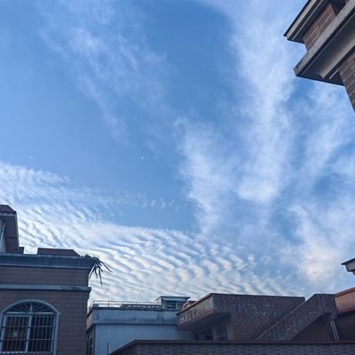 RebeccaYip22021's profile picture. 