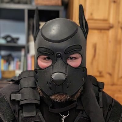 31 y/o armoured doggo (amongst other things) | UK based (Bristol) | Pan | They/Them | 18+ only