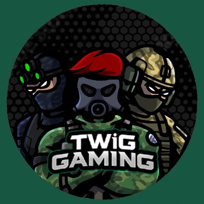 TWiG__GAMING Profile Picture