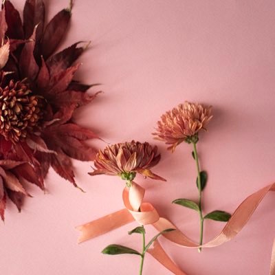 Faithjohnsonsin's profile picture. The one that rides your soul. Johnsonfaith452@gmail.com