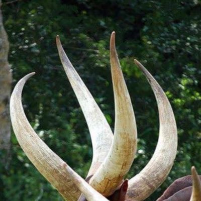 mel_bourgeois's profile picture. I’m your kindred spirit …