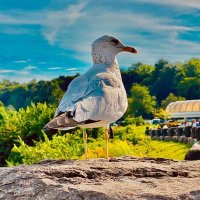 Lawrence Munene (@munenemu46701) 's Twitter Profile