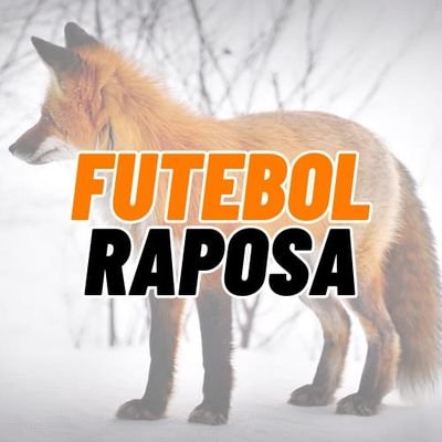 futebolraposa Profile Picture