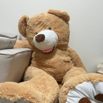 tGffgzoAY785xZ0's profile picture. 